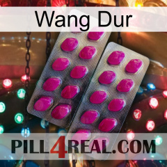 Hard Wang 10